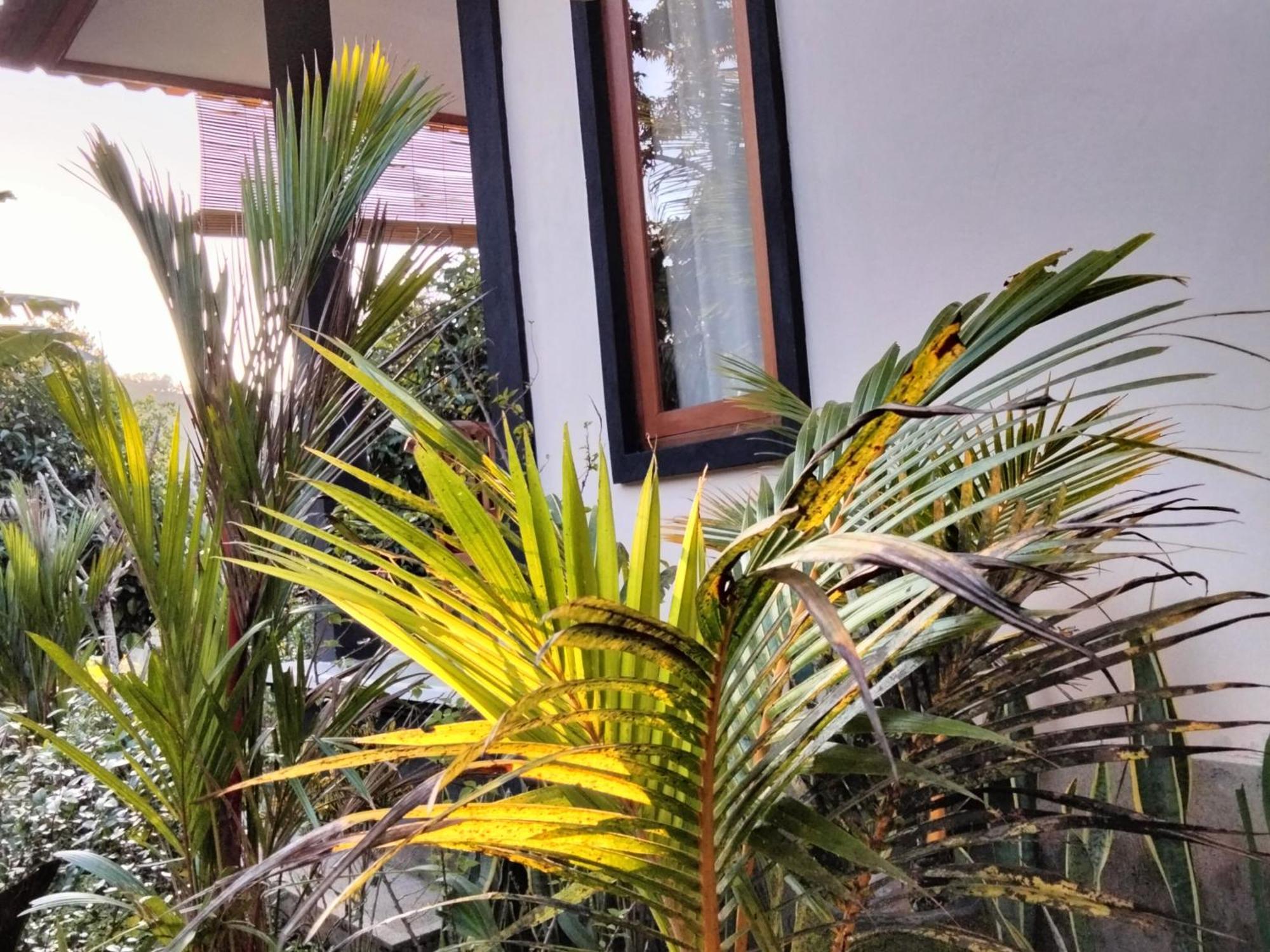 Buntera Homestay Sidemen Sidemen  Extérieur photo