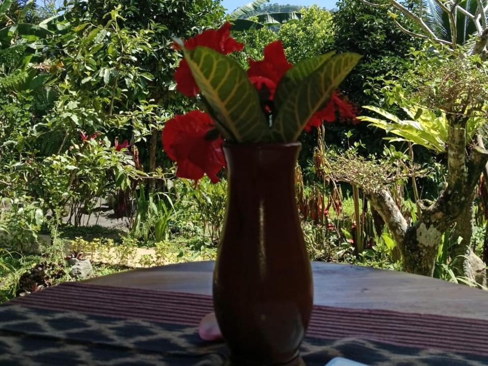 Buntera Homestay Sidemen Sidemen  Extérieur photo