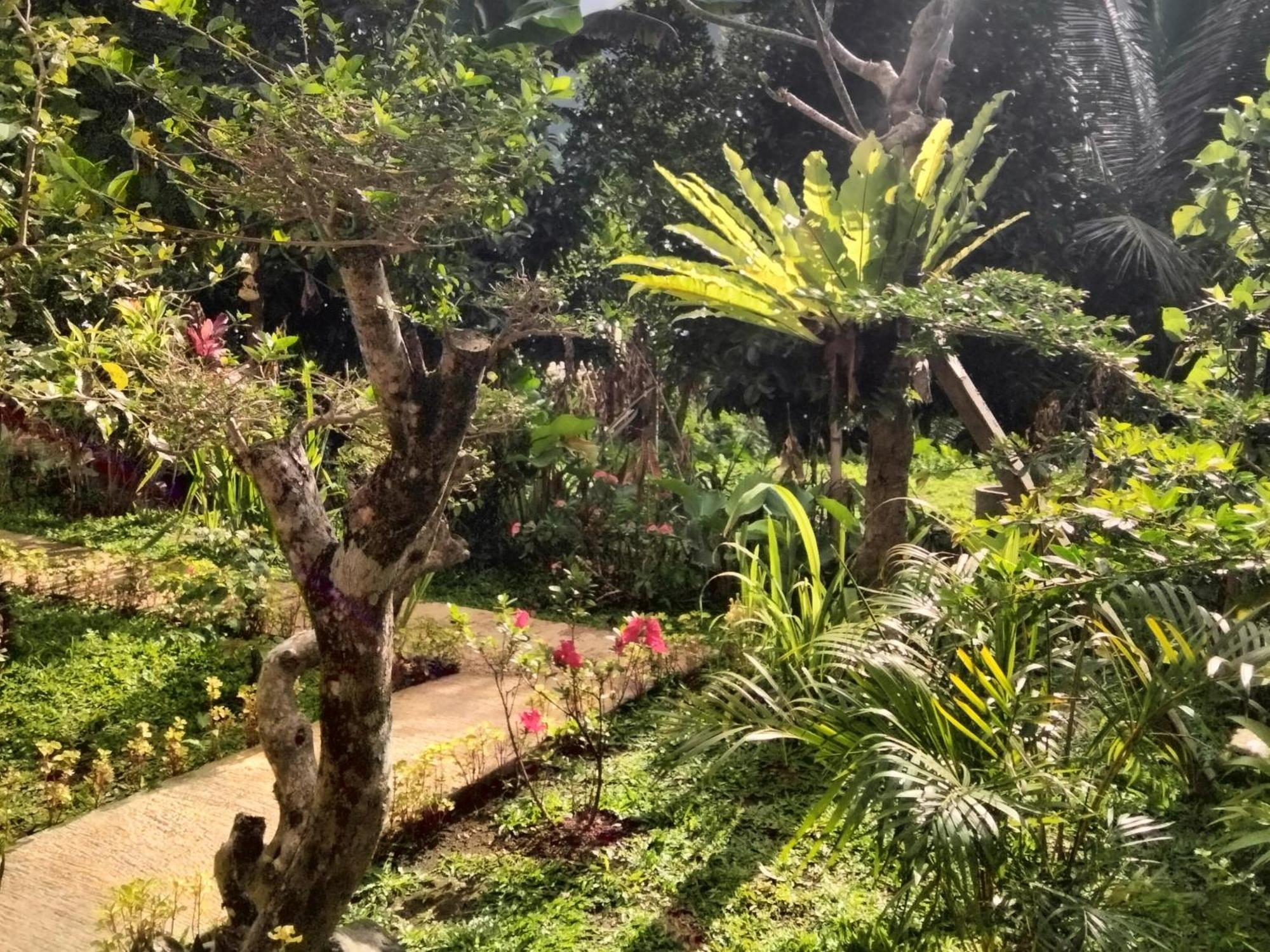 Buntera Homestay Sidemen Sidemen  Extérieur photo