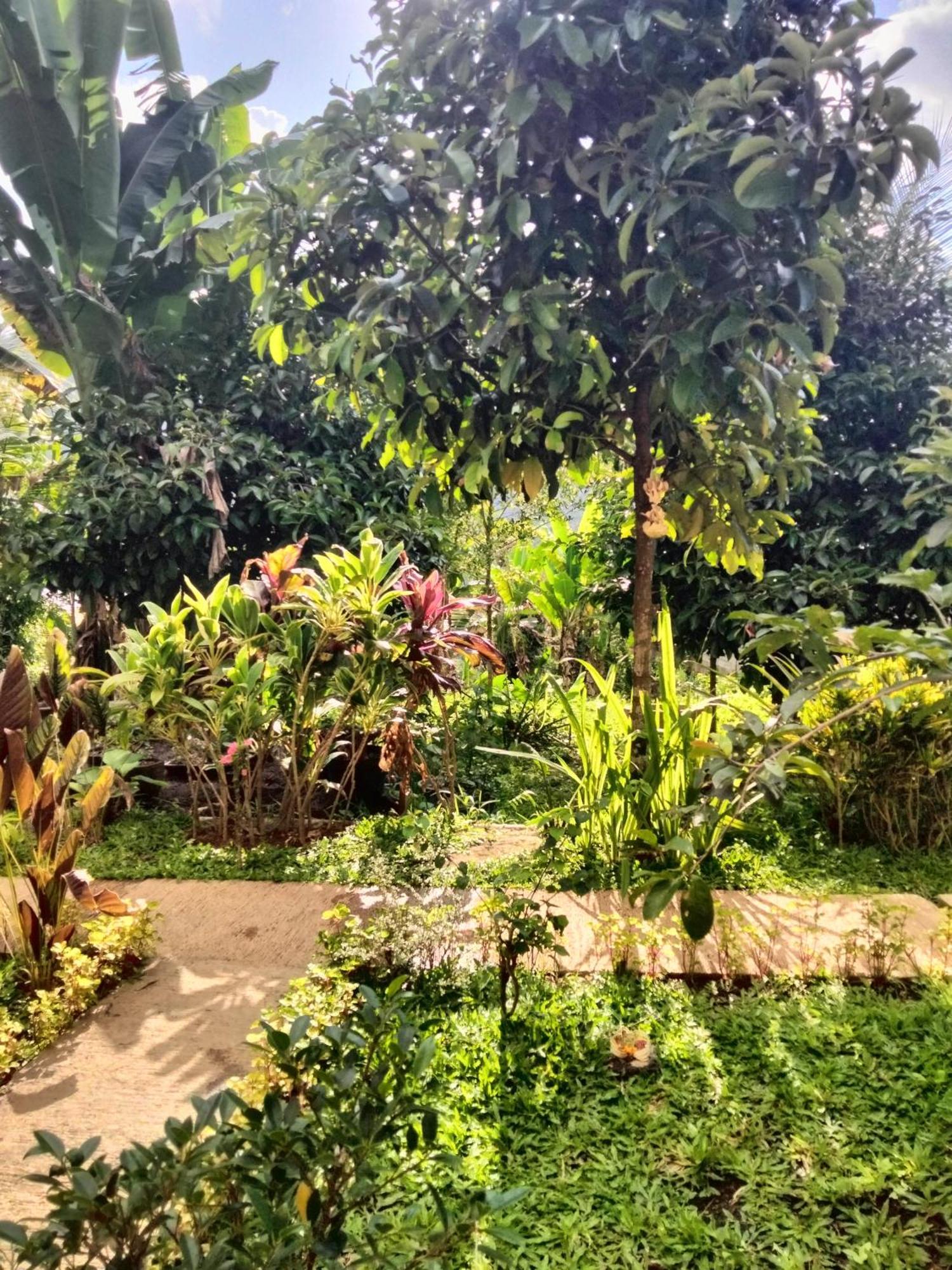 Buntera Homestay Sidemen Sidemen  Extérieur photo